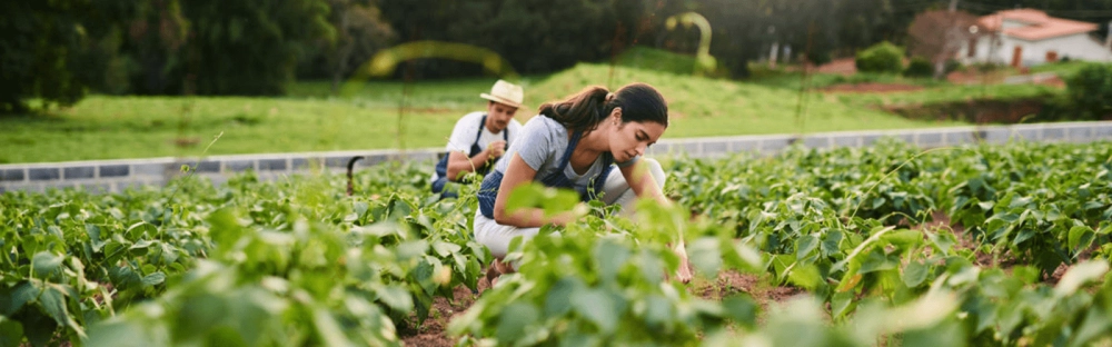 1cb3ae21b6a6-Backpacker-tax-article-image.png.webp 1cb3ae21b6a6-Backpacker-tax-article-image.png.webp