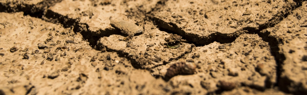 75e5a981bd11-Concessional-loans-for-drought-image-1600x500.png.webp 75e5a981bd11-Concessional-loans-for-drought-image-1600x500.png.webp