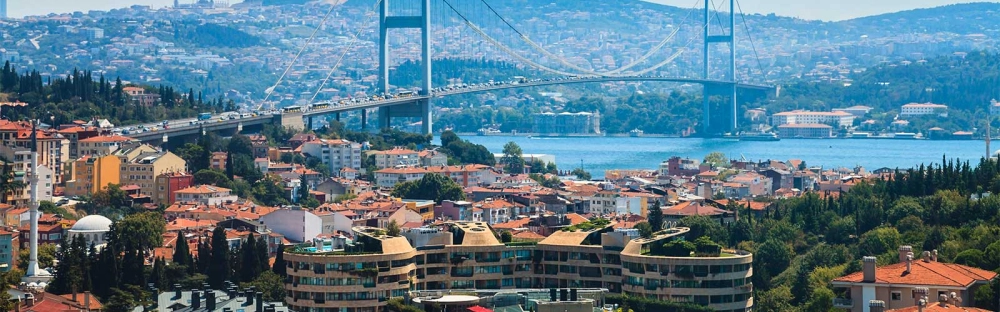 234972f5dc5a-DBI-Turkey.jpg.webp 234972f5dc5a-DBI-Turkey.jpg.webp