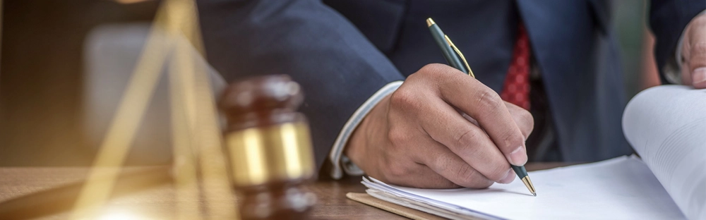 363d03127015-greenswil.jpg.webp 363d03127015-greenswil.jpg.webp