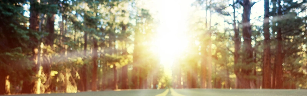 7562dd4373f9-Land-Tax-Surcharge.jpg.webp 7562dd4373f9-Land-Tax-Surcharge.jpg.webp