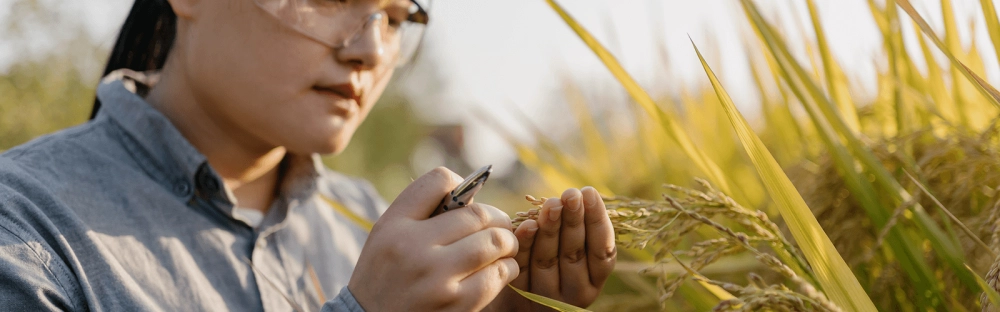 71ba76dc38c7-Northern-Australia-Development-Program.png.webp 71ba76dc38c7-Northern-Australia-Development-Program.png.webp