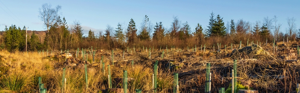 bacd8900192f-QRIDA-disaster-grants-banner.png.webp bacd8900192f-QRIDA-disaster-grants-banner.png.webp