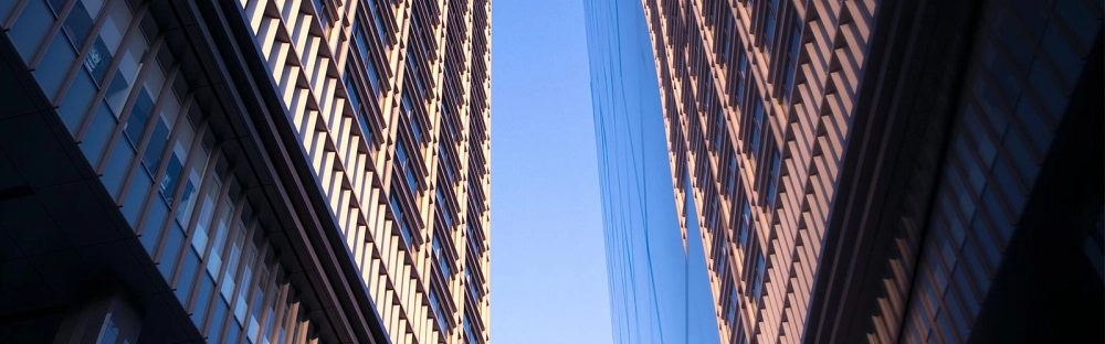 edeefee4ba9b-Sydney-appoints-joing-MP.jpg.webp edeefee4ba9b-Sydney-appoints-joing-MP.jpg.webp