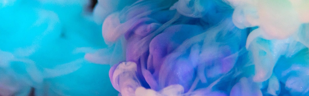 0588bd636c62-Xero-1600-700.jpg.webp 0588bd636c62-Xero-1600-700.jpg.webp