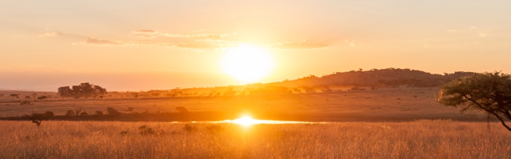 a6adaef97ded-ABF_-1086x202.jpg-V3.jpg.webp a6adaef97ded-ABF_-1086x202.jpg-V3.jpg.webp