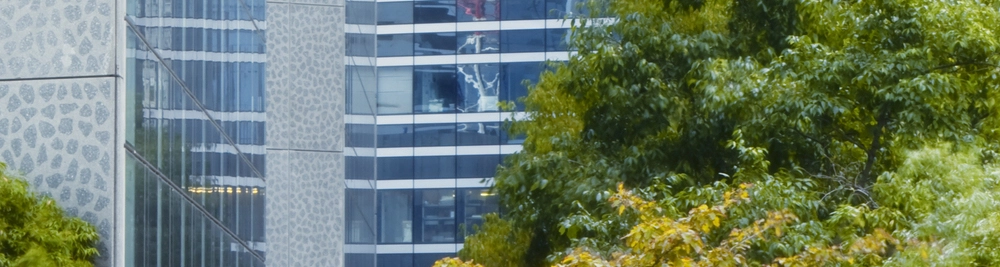 cb51d0f29220-ITC2019_1086x202.jpg.webp cb51d0f29220-ITC2019_1086x202.jpg.webp