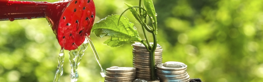 3a44602a0979-Payroll-newsletter-visual.jpg.webp 3a44602a0979-Payroll-newsletter-visual.jpg.webp