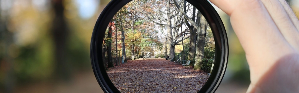 0c117b15df96-1.jpg.jpg.webp 0c117b15df96-1.jpg.jpg.webp