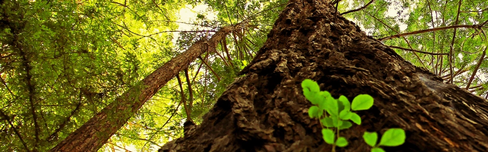 d65589909050-GettyImages-961666978.jpg.jpg.webp d65589909050-GettyImages-961666978.jpg.jpg.webp