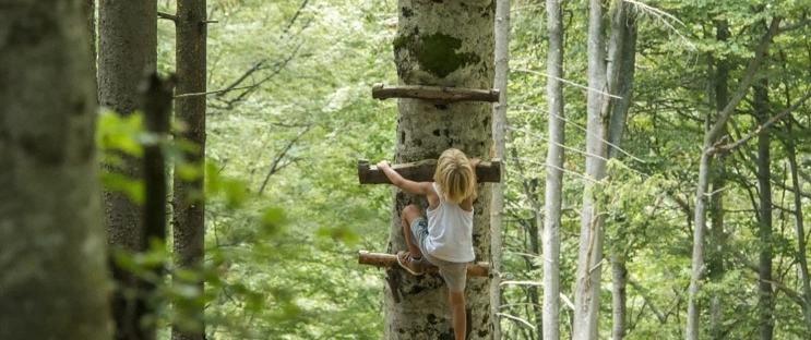 fb4164819796-Picture1.jpg.jpg.webp fb4164819796-Picture1.jpg.jpg.webp