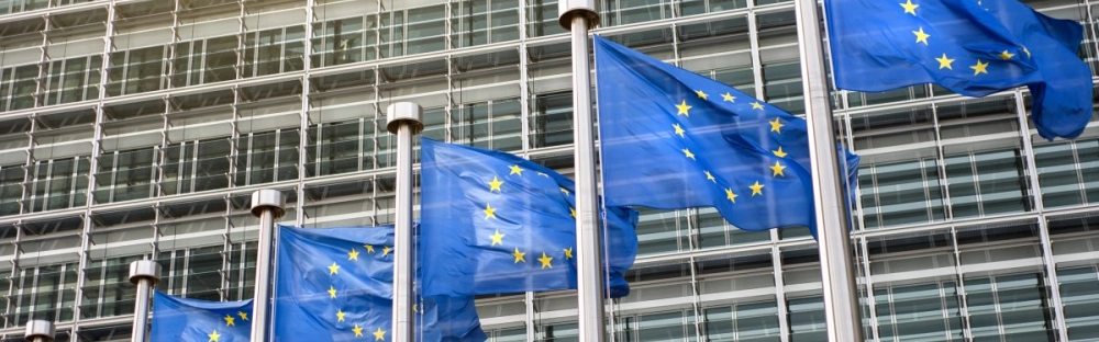 ec4567774c7f-eu-flags.jpg.webp