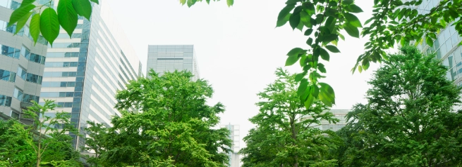 f5c152e31110-sustainability.png.webp f5c152e31110-sustainability.png.webp