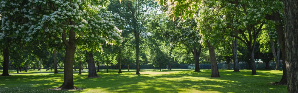 e810fc60e861-RP_2022_06_Editorial-theme-picture_1600x500.jpg.webp e810fc60e861-RP_2022_06_Editorial-theme-picture_1600x500.jpg.webp