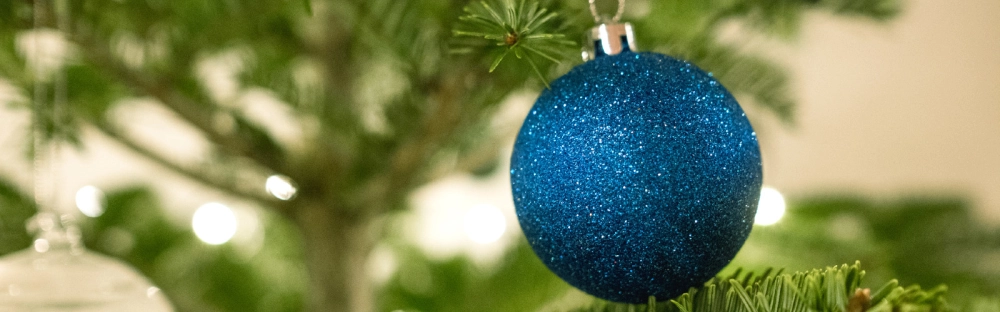 b2202d259a57-RP_2022_12_Editorial-theme-picture_1600x500.jpg.webp b2202d259a57-RP_2022_12_Editorial-theme-picture_1600x500.jpg.webp