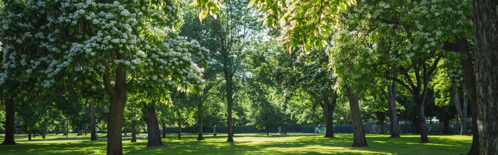 844a9a71994c-RP_2023_06_Editorial-theme-picture_1600x500.jpg.webp 844a9a71994c-RP_2023_06_Editorial-theme-picture_1600x500.jpg.webp