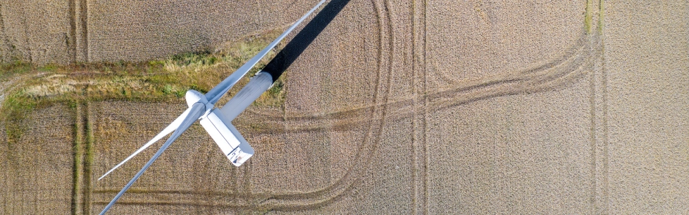 930387d86134-Doing-business-in-DK_1600x500.jpg.webp 930387d86134-Doing-business-in-DK_1600x500.jpg.webp