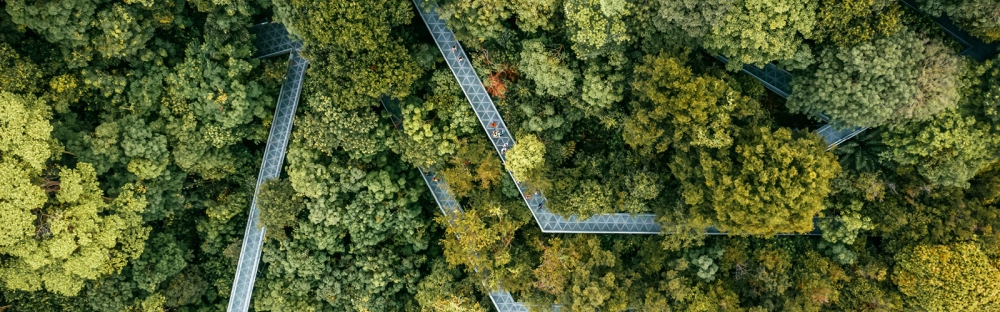 ae855d568f03-202303_Header_Landingpage_1600-x-500_v4.jpg.webp ae855d568f03-202303_Header_Landingpage_1600-x-500_v4.jpg.webp