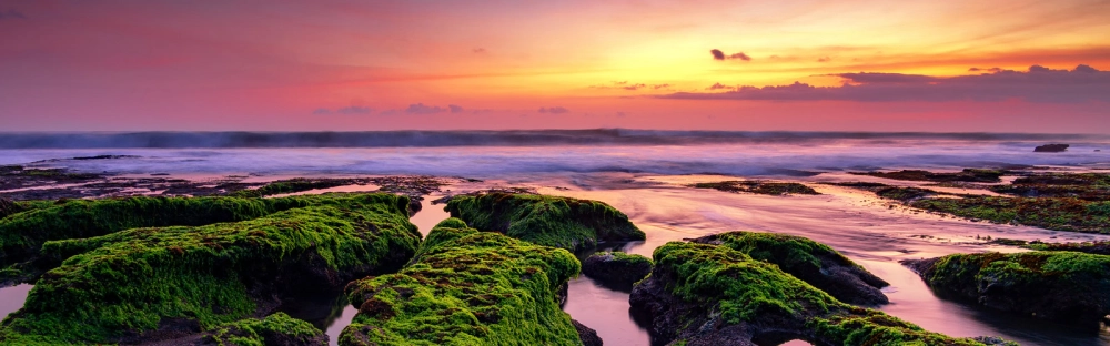 4a6dd43cef37-202311_Header_Landingpage_1600-x-500_Standard_v4.jpg.jpg.webp 4a6dd43cef37-202311_Header_Landingpage_1600-x-500_Standard_v4.jpg.jpg.webp