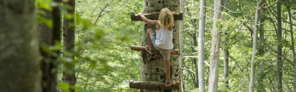 ae3c08b55345-Geschaeftszahlen-gross.jpg.webp ae3c08b55345-Geschaeftszahlen-gross.jpg.webp