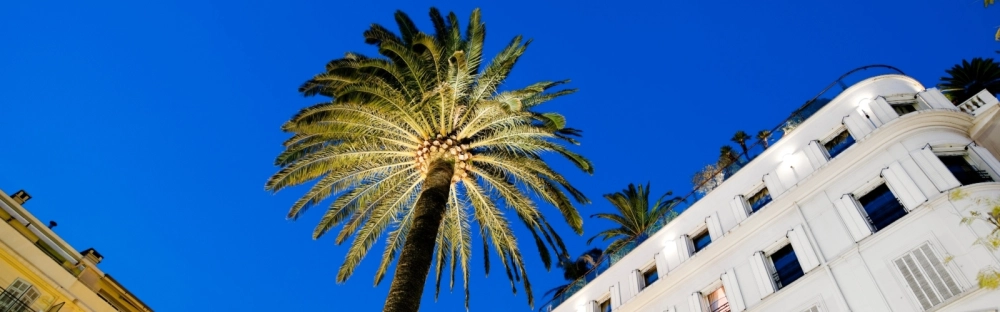 f333bd90c3c5-Headerbild_MIPIM_2024_1600x500.jpg.webp f333bd90c3c5-Headerbild_MIPIM_2024_1600x500.jpg.webp