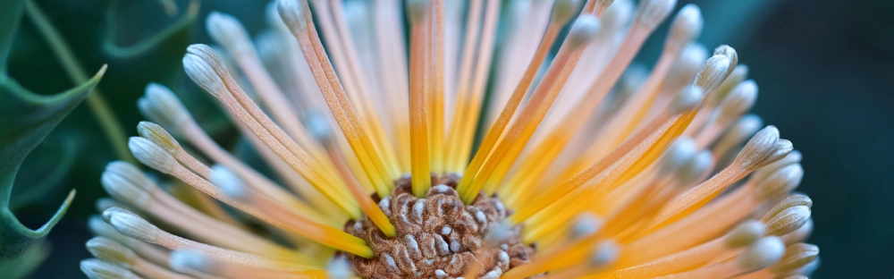 69385492f3c0-Headerbild_Pressemitteilung_Davos_Sponsorship_1200x627.jpg.webp 69385492f3c0-Headerbild_Pressemitteilung_Davos_Sponsorship_1200x627.jpg.webp
