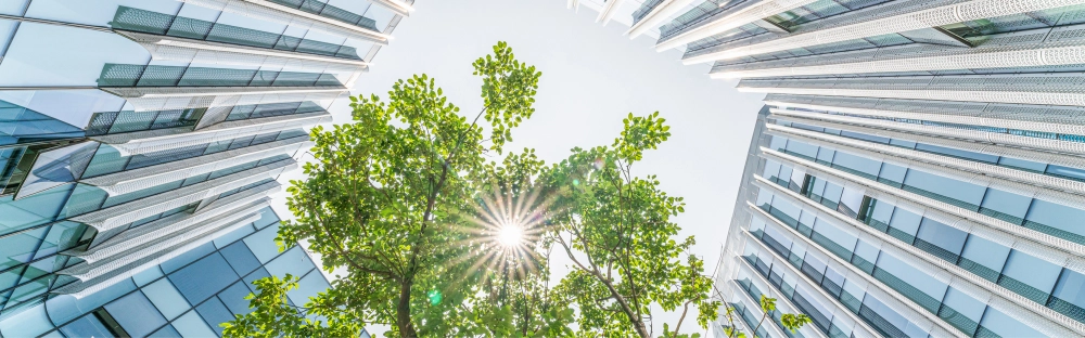 6ec86ffa7f2f-Mazars-mit-starkem-Wachstum-auf-Platz-8-der-Luenendonk-R-Liste-2022.jpg.webp 6ec86ffa7f2f-Mazars-mit-starkem-Wachstum-auf-Platz-8-der-Luenendonk-R-Liste-2022.jpg.webp