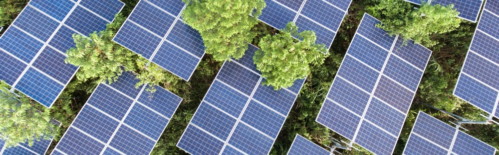 18a4621db9ab-Solar-Energy-1600x500-Landingpage-Header.jpg.webp
