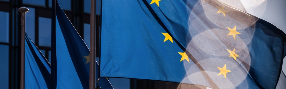 8ec19528220a-Webinar-EU-Taxonomie-und-CSRD-Herausforderungen-und-Synergien.jpg.webp 8ec19528220a-Webinar-EU-Taxonomie-und-CSRD-Herausforderungen-und-Synergien.jpg.webp