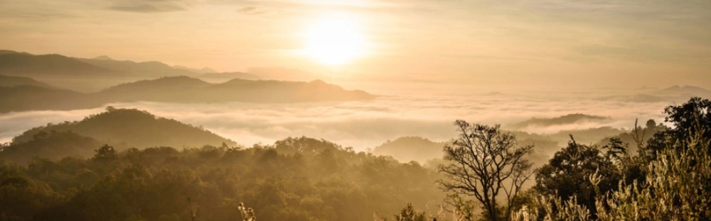 1634ee516756-annual-report.jpg.webp 1634ee516756-annual-report.jpg.webp