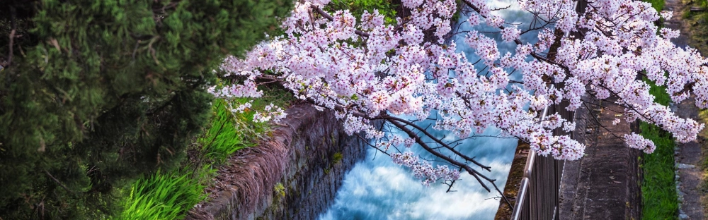 dc129dd9a95c-GettyImages-1155867182.jpg.jpg.webp dc129dd9a95c-GettyImages-1155867182.jpg.jpg.webp