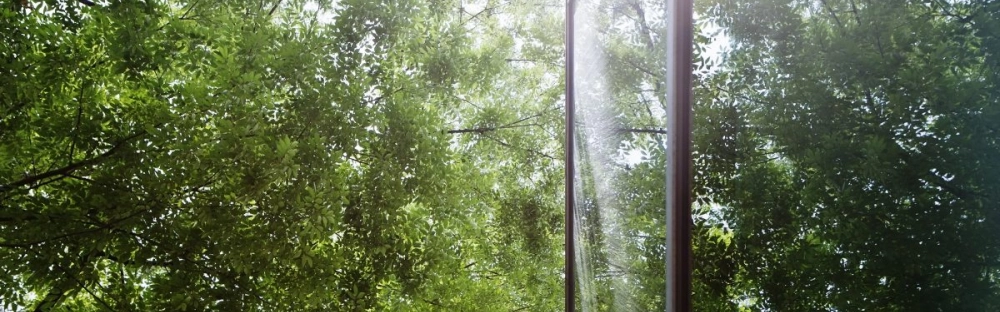 ece05bd27073-GettyImages-174713852-1200x801.jpg.jpg.webp ece05bd27073-GettyImages-174713852-1200x801.jpg.jpg.webp