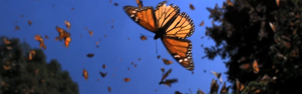 c30e25dce065-Let-s-talk.png.png.webp c30e25dce065-Let-s-talk.png.png.webp