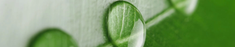 3f33eab53d87-water-drop.jpg.webp 3f33eab53d87-water-drop.jpg.webp