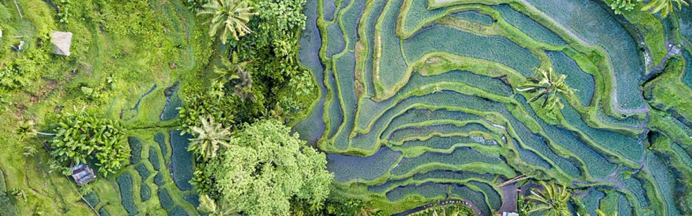 c0eb748a3e75-ESG.png.webp c0eb748a3e75-ESG.png.webp