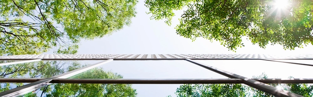 2937165d121f-2019.png.webp 2937165d121f-2019.png.webp