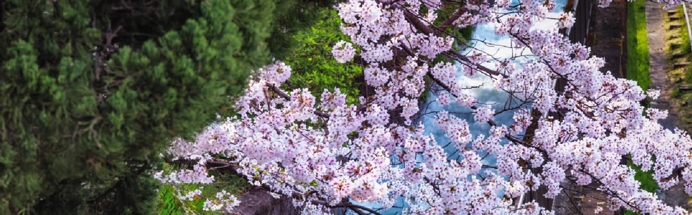 9b026a03b50a-w6kqox2u.png.png.webp 9b026a03b50a-w6kqox2u.png.png.webp