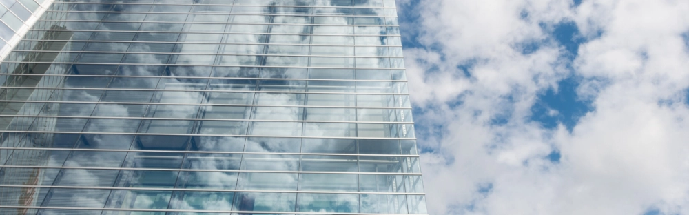 23820956ca0c-Transparency-report-2018-19-1600x500.png.webp 23820956ca0c-Transparency-report-2018-19-1600x500.png.webp