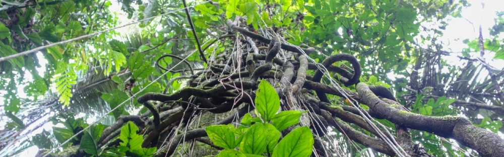 da338885dff4-Mazars-strengthens-leadership-team-in-Mexico.jpg.webp da338885dff4-Mazars-strengthens-leadership-team-in-Mexico.jpg.webp