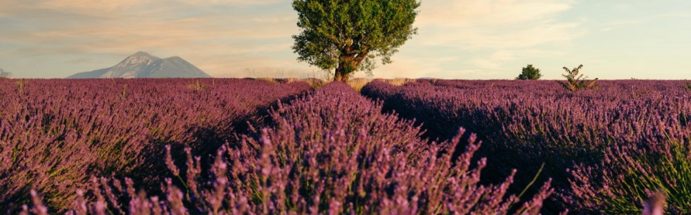 6bfceae2d8d0-Nombramientos-2022_Landing-page.jpg.webp 6bfceae2d8d0-Nombramientos-2022_Landing-page.jpg.webp