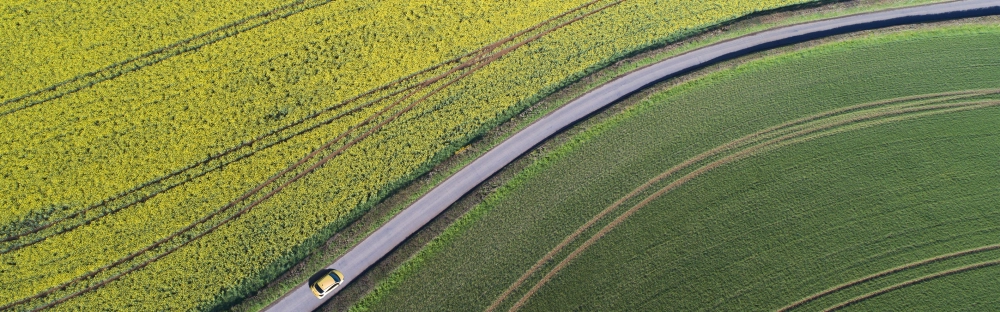 059f159e7fde-Vierluik-T-L-continuiteit.jpg.webp 059f159e7fde-Vierluik-T-L-continuiteit.jpg.webp