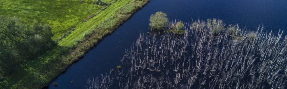 16f4e2190caa-sustainability.jpg.webp 16f4e2190caa-sustainability.jpg.webp