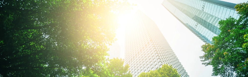 8bac6e746988-Business-towers-and-Green-leaves-1600x700.png.png.webp