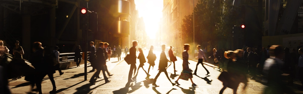 d7561a24ede1-Tax-3.jpg.webp d7561a24ede1-Tax-3.jpg.webp