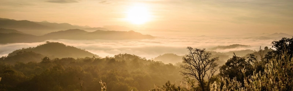 7d5c6ecbe561-PR-Mazars-Results.jpg.webp 7d5c6ecbe561-PR-Mazars-Results.jpg.webp