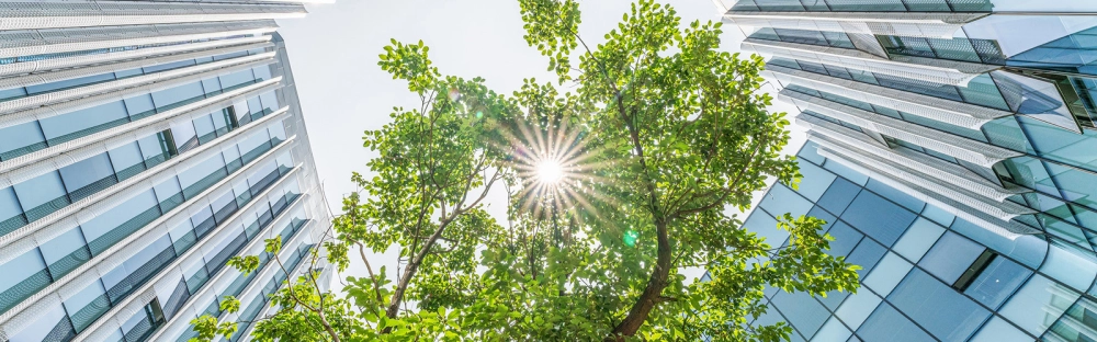 9d89271275c8-Mazars-CEE-tax-guide-2023-1600x500px.jpg.jpg.webp 9d89271275c8-Mazars-CEE-tax-guide-2023-1600x500px.jpg.jpg.webp