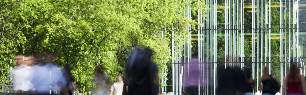 79a120f75332-informe-anual.jpg.webp 79a120f75332-informe-anual.jpg.webp