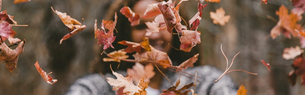 777d4935e685-Budget_Hoest_1600x700.jpg.webp 777d4935e685-Budget_Hoest_1600x700.jpg.webp