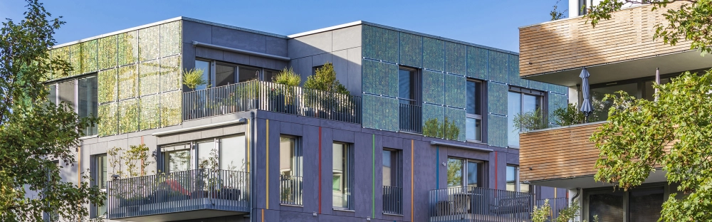 72b7fc79a51d-Nyhet-1-december-2021.jpg.webp 72b7fc79a51d-Nyhet-1-december-2021.jpg.webp