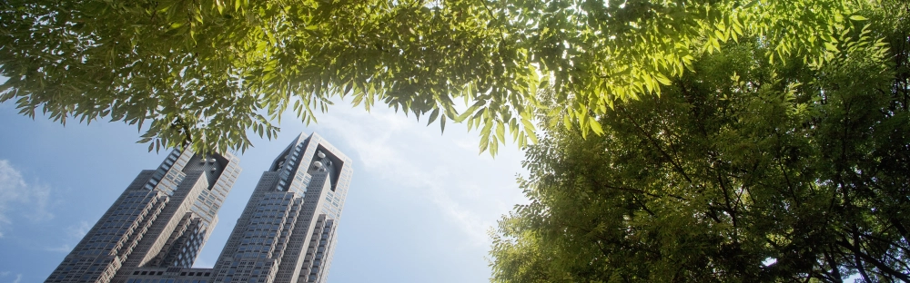 650f5d383447-Nyhet-3-september-2021.jpg.webp 650f5d383447-Nyhet-3-september-2021.jpg.webp